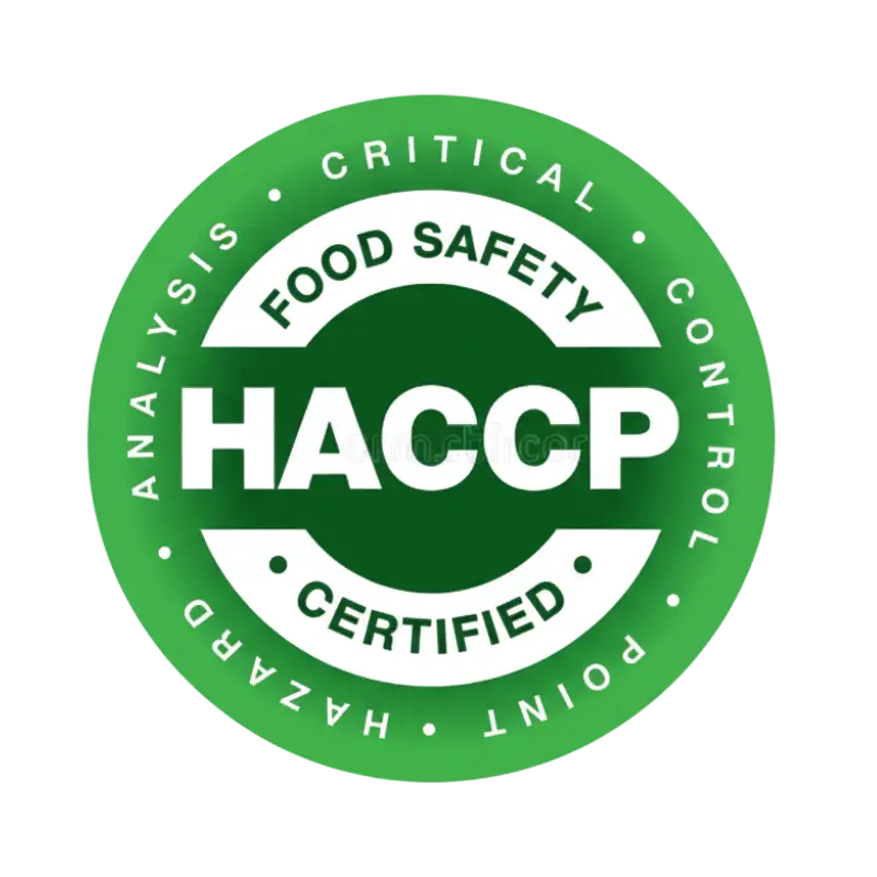 Certificado 1